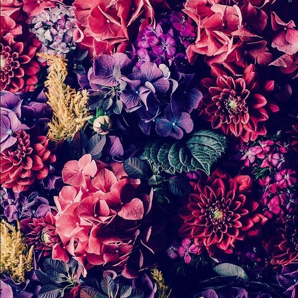 laumrtnz11